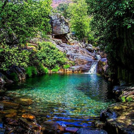 شقة Quinta Da Ribeirinha اروكا المظهر الخارجي الصورة